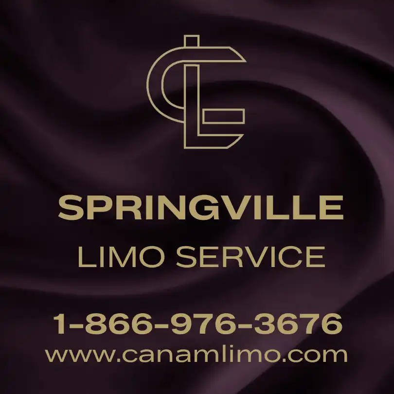 Springville Limo Service
